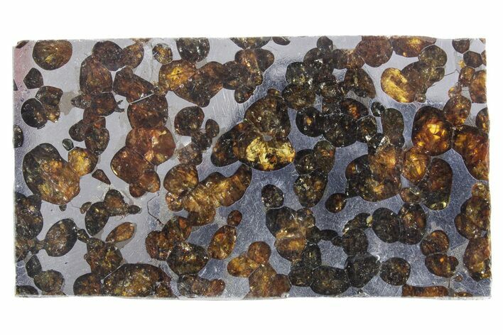 Polished Sericho Pallasite Meteorite ( g) Slice - Kenya #348915